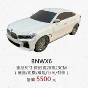 BNW X6